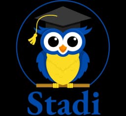 Stadi Logo